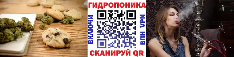 Canna-Cookies марихуана  Олонец 