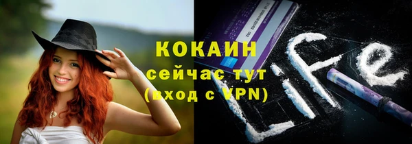 сатива Армянск
