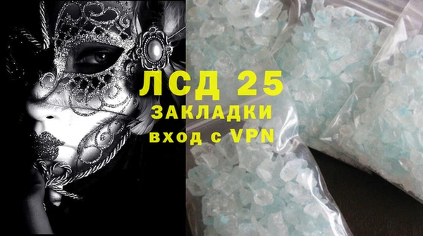 сатива Армянск