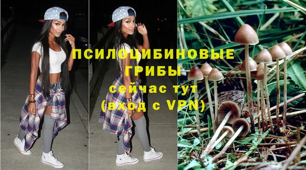 гидропоника Арсеньев