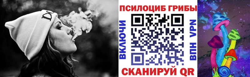 гидра как войти  Олонец  Псилоцибиновые грибы MAGIC MUSHROOMS 